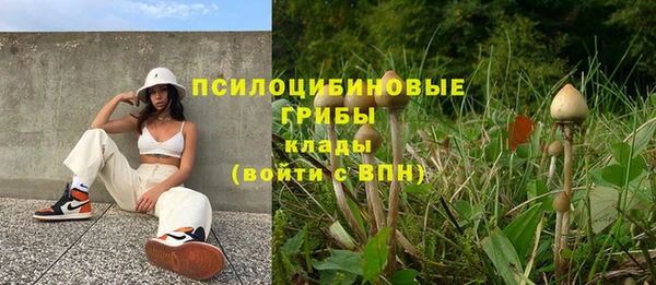 герыч Инсар